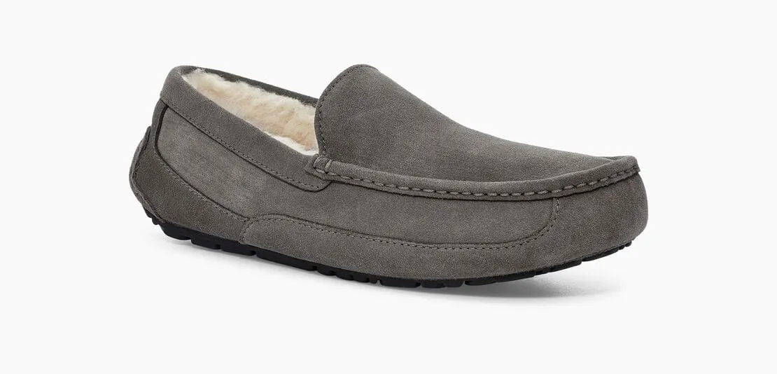 Ascot Suede