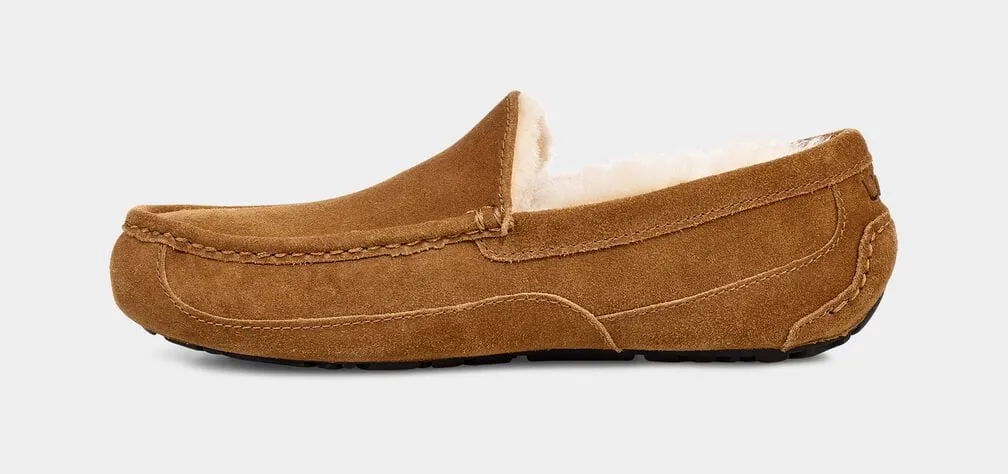 Ascot Suede