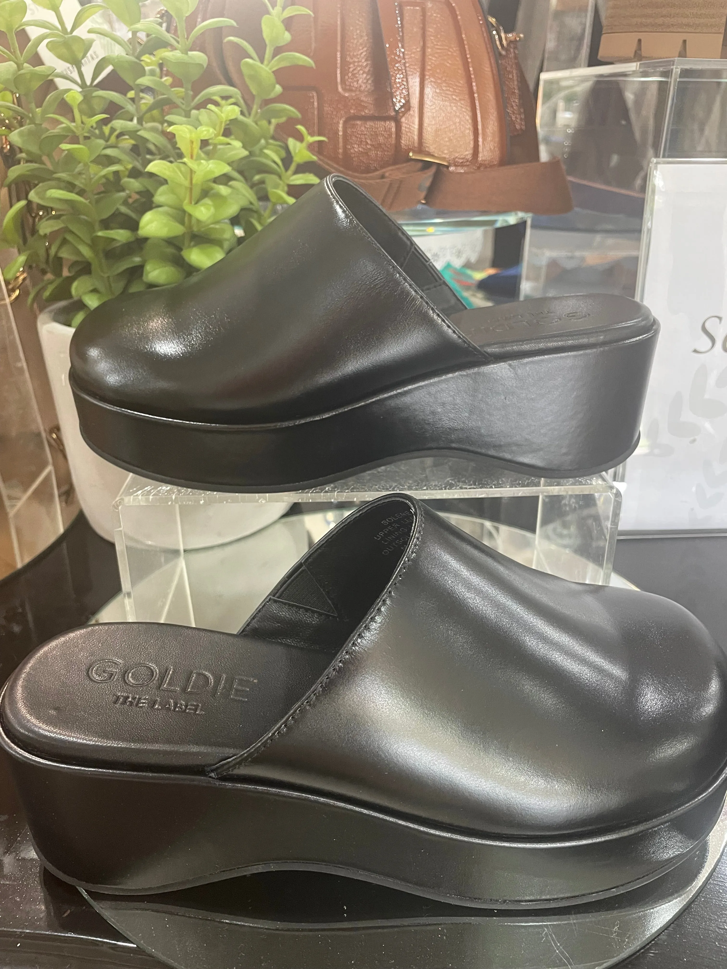 Solene Mule